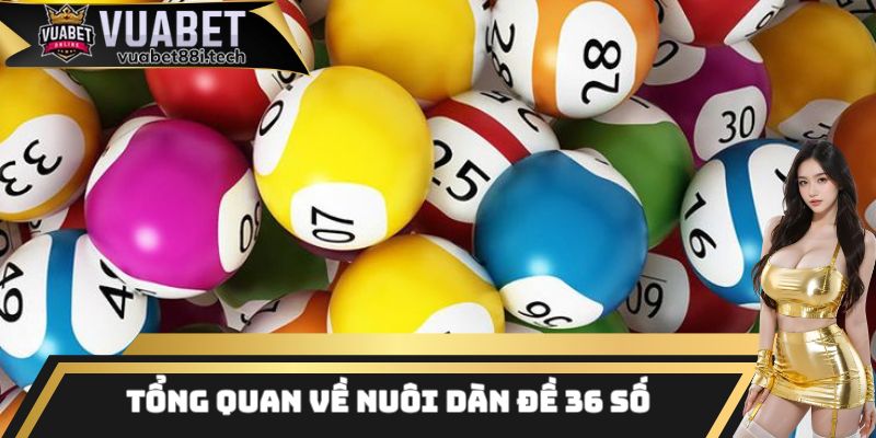 Tổng quan một vài thông tin cơ bản về chiến thuật nuôi dàn đề 36 số